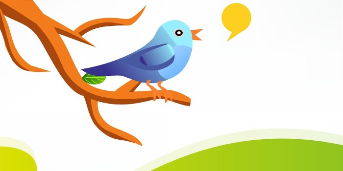 Twitter: 12 tips for optimising conversions on your e-commerce site