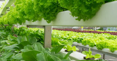 Data Science applied to Vertical Farming: the future of sustainable farming