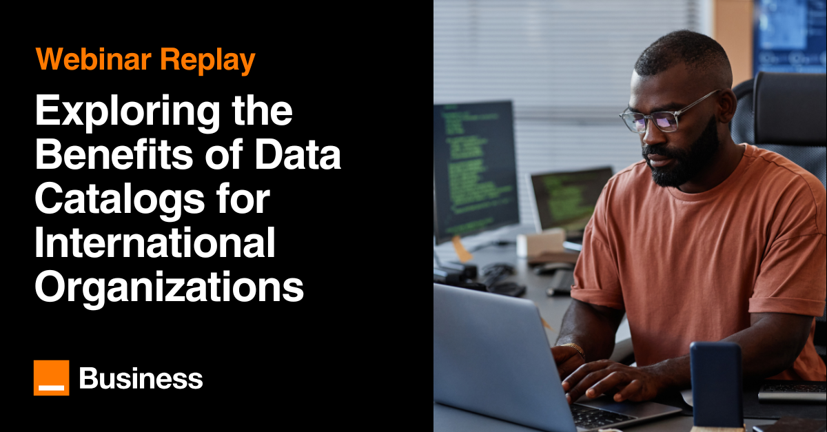 Exploring the Benefits of Data Catalogs for International Organizations